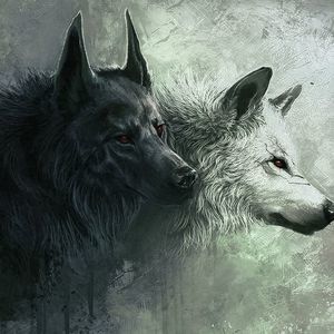 Meet your Posher, Chrystal